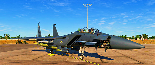 ꡼ No.005Υͥ / DCS WorldסۤɡDCS: F-15EפΥ꡼ǤeåפSteamǥ꡼ȥ쥤顼