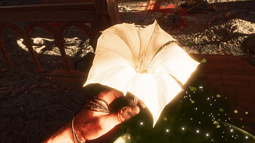 ꡼ No.005Υͥ / ֥ե饤6DLC3ơȥ祻դԥץå󡣡ȤĤɤȸФζ ߤȵߺѡɤԤ