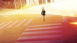 ꡼ No.003Υͥ / TV˥֥֥롼 The AnimationסΥ󥯥쥸åEDβ䤫郎