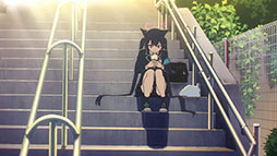 ꡼ No.004Υͥ / TV˥֥֥롼 The AnimationסΥ󥯥쥸åEDβ䤫郎