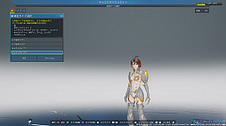 ꡼ No.022Υͥ / PSO2NGSץɦ¥ƥȥץ쥤ݡȡƥ쿷˴Ԥޤ