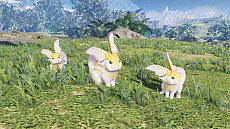 ꡼ No.123Υͥ / PSO2 ˥塼ͥפӥȡ٤6ĤΥ饹佬ǤPAȥҲ