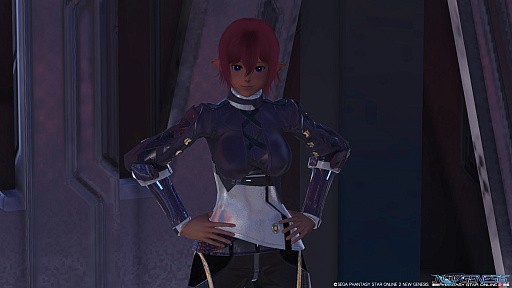 ꡼ No.046Υͥ / PSO2 ˥塼ͥץȥɡʸԡˡɶζƥҲ𡣥ץ쥤ΩƦμ