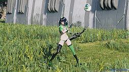 ꡼ No.001Υͥ / PSO2 ˥塼ͥס緿åץǡȤľ˹ӥϰʹߤ˼줿Ǥ򤪤餤