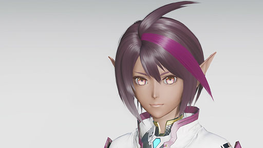 画像ギャラリー No.024のサムネイル画像 / 「NGS ver.2」，オルタレルム探索：戦闘セクションに「異界戦線：凍土エリア峡江部」が登場
