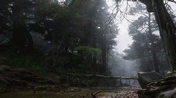 画像ギャラリー No.008のサムネイル画像 / 「Black Myth: Wukong(黒神話:悟空)」,PC用ベンチマークツールをSteamで無料公開。リリースに備え,事前にパフォーマンスを確認しよう