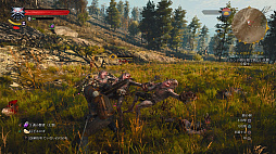꡼ No.004Υͥ / ֥å㡼3 磻ɥϥ ץ꡼ȥǥפ75󥪥դ1650ߡǹˤˡPS Store1եå奻»