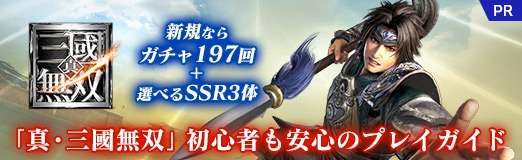 ꡼ No.032Υͥ / PRۥץֿԢ̵С׽鿴Ԥ¿Υץ쥤ɡʤȥ197٤SSR3Ρ