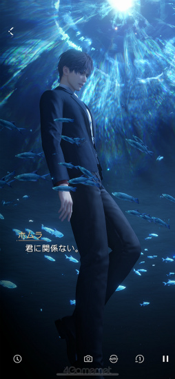 ꡼ No.009Υͥ / ¤ɤ˥ϥޤˡۥ顣ȿפ̩õϢ3ϡǮŪʷݽѲȤ֥ۥԡפϤ