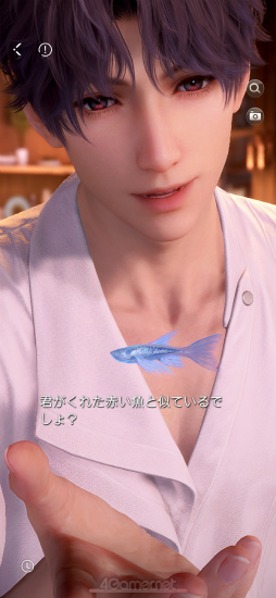 ꡼ No.035Υͥ / ¤ɤ˥ϥޤˡۥ顣ȿפ̩õϢ3ϡǮŪʷݽѲȤ֥ۥԡפϤ