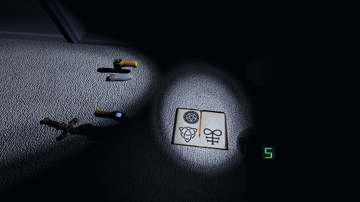 ꡼ No.021Υͥ / ݤɤʤۥ顼Phasmophobiaץץ쥤ɡ򤷤餤Ρ褹뿷ĴؤΥɥХҲ