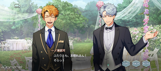 ꡼ No.010Υͥ / ֥6Υ٥ȥȡ꡼Ҳ̴Τ褦ʷ뺧򵿻θMusic and the Bridal Kiss