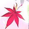 ꡼ No.013Υͥ / ֥פ饹ȤԸᥤ󥹥ȡ꡼7Ϥ⹻ΥСԥåå