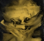 ꡼ No.008Υͥ / ֥ǥ ꥸ  եʥ åȡסȻ׹͡ɤ򸦵椷Ʋä䤹ֻ׹ͥӥͥåȡפǤ12Υ