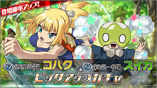 ꡼ No.002Υͥ / Dr.STONE Хȥ륯եȡס꡼13200DLã2000
