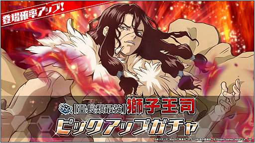 ꡼ No.003Υͥ / Dr.STONE Хȥ륯եȡס꡼13200DLã2000