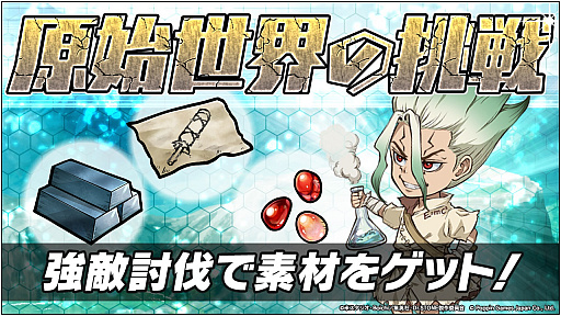 ꡼ No.004Υͥ / Dr.STONE Хȥ륯եȡס꡼13200DLã2000