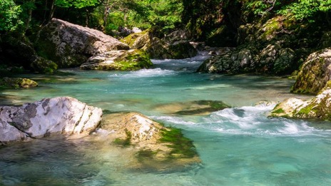 ���������꡼ No.014�Υ���ͥ������ / ���٤�����ϴ��졣PS4/Switch����ADV�������赭4�פ�2021ǯ4��22����ȯ�䡣360�٥����ǻ��Ƥ��줿�ꥢ��ʥġ���󥰤��θ�