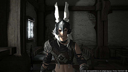 ꡼ No.041Υͥ / FFXIV:ǷΥեʡפΥ꡼1123˷ꤷͽμդȡǿȥ쥤顼
