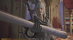 ꡼ No.006Υͥ / FFXIV69ץǥ塼쥿LIVEݡȡѥå6.1˲äơǡ󥿡ȥ٥ǡ󥿡Ԥξ餫