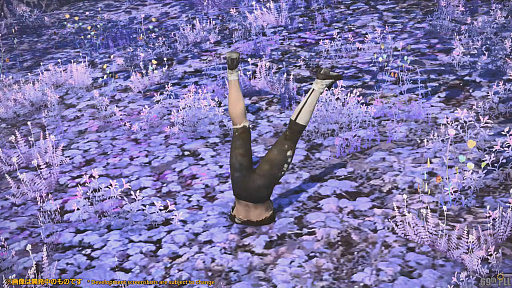 ꡼ No.015Υͥ / FFXIV69ץǥ塼쥿LIVEݡȡѥå6.1˲äơǡ󥿡ȥ٥ǡ󥿡Ԥξ餫