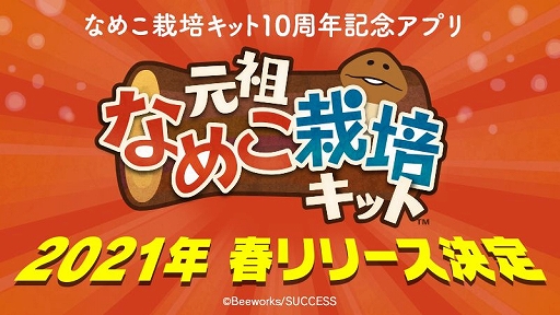 画像ギャラリー No.003のサムネイル画像 / 「元祖なめこ栽培キット」が今春配信予定