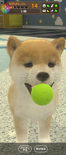 ꡼ No.007Υͥ / ޥ۸ڥåȰSLGwith My DOG - Ȥ餽 -ס215ۿ190ʾλҸо