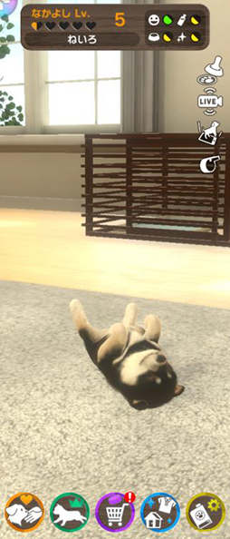 ꡼ No.008Υͥ / ޥ۸ڥåȰSLGwith My DOG - Ȥ餽 -ס215ۿ190ʾλҸо