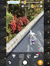 ꡼ No.009Υͥ / with My DOG - Ȥ餽 -פiOSۿϡҸȤΤդ礤ϤARƵǽǼ̿ưڤSLG