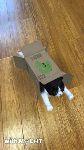 ꡼ No.001Υͥ / with My DOG - Ȥ餽 -פ10DLˡ֥롼ȥ֥ƥå奷硼ȥإɲ
