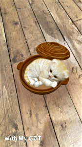 ꡼ No.002Υͥ / with My DOG - Ȥ餽 -פ10DLˡ֥롼ȥ֥ƥå奷硼ȥإɲ