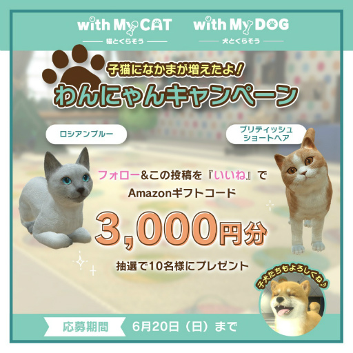 ꡼ No.003Υͥ / with My DOG - Ȥ餽 -פ10DLˡ֥롼ȥ֥ƥå奷硼ȥإɲ