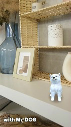 ꡼ No.007Υͥ / with My DOG - Ȥ餽 -פ10DLˡ֥롼ȥ֥ƥå奷硼ȥإɲ