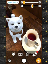 ꡼ No.003Υͥ / with My DOG - Ȥ餽 -סwith My CAT - ǭȤ餽 -߷40