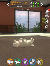 ꡼ No.004Υͥ / with My DOG - Ȥ餽 -סwith My CAT - ǭȤ餽 -߷40