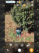 ꡼ No.002Υͥ / with My DOG - Ȥ餽 -פAndroidˤ⥵ӥϡ5000ʬAmazonեȥɤ륭ڡ»
