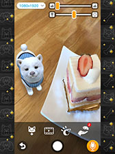 ꡼ No.004Υͥ / with My DOG - Ȥ餽 -פAndroidˤ⥵ӥϡ5000ʬAmazonեȥɤ륭ڡ»