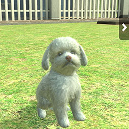 ꡼ No.006Υͥ / with My DOG - Ȥ餽 -פAndroidˤ⥵ӥϡ5000ʬAmazonեȥɤ륭ڡ»