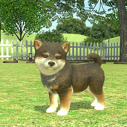 ꡼ No.007Υͥ / with My DOG - Ȥ餽 -פAndroidˤ⥵ӥϡ5000ʬAmazonեȥɤ륭ڡ»