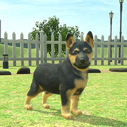 ꡼ No.008Υͥ / with My DOG - Ȥ餽 -פAndroidˤ⥵ӥϡ5000ʬAmazonեȥɤ륭ڡ»