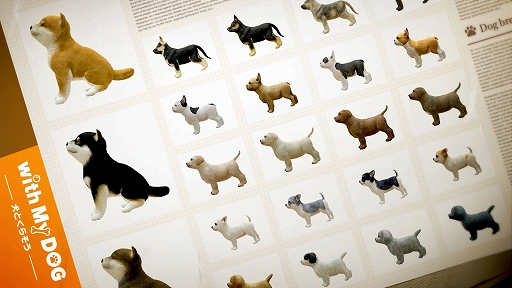 ꡼ No.009Υͥ / with My DOG - Ȥ餽 -פAndroidˤ⥵ӥϡ5000ʬAmazonեȥɤ륭ڡ»