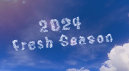 ꡼ No.003Υͥ / ֥ץȥ3ס2024 Fresh Seasonפα֥24ĥػáפξܺ٤餫