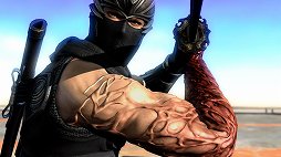 ꡼ No.031Υͥ / NINJA GAIDEN: ޥ쥯ץץ쥤ݡȡĶǦ3ʤޤȤƳڤ