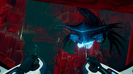 ���������꡼ No.018�Υ���ͥ������ / �֥��֥Ρ��ƥ���: �ӥ��� �����ס��ѥå������Ǥ����䤬�������ȡ����������θ������Ķ���Ҳ𤹤��������ȥ쥤�顼����