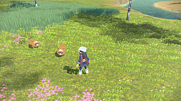 ꡼ No.053Υͥ / Pok&#233;mon LEGENDS 륻פκǿץι⤤ͼʤȤʤҥŬݥˤܤ