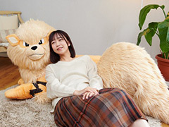 添い寝ポーズ,1/2スケールのウインディ,その名も「ぬいぐるみ 添い寝ウインディ」の受注がポケモンセンターオンラインで本日開始