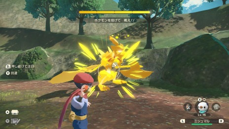 ꡼ No.013Υͥ / Pok&#233;mon LEGENDS 륻ץҥ©륭󥰡ξ󤬸ưϰϤȥݥ饤ɡɤо
