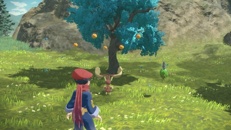 ꡼ No.034Υͥ / Pok&#233;mon LEGENDS 륻ץҥ©륭󥰡ξ󤬸ưϰϤȥݥ饤ɡɤо