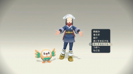 ꡼ No.045Υͥ / Pok&#233;mon LEGENDS 륻ץҥ©륭󥰡ξ󤬸ưϰϤȥݥ饤ɡɤо
