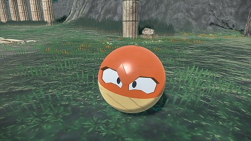 ꡼ No.001Υͥ / Pok&#233;mon LEGENDS 륻סҥΤΥӥޤˡĴθܤǡǤ󤭡